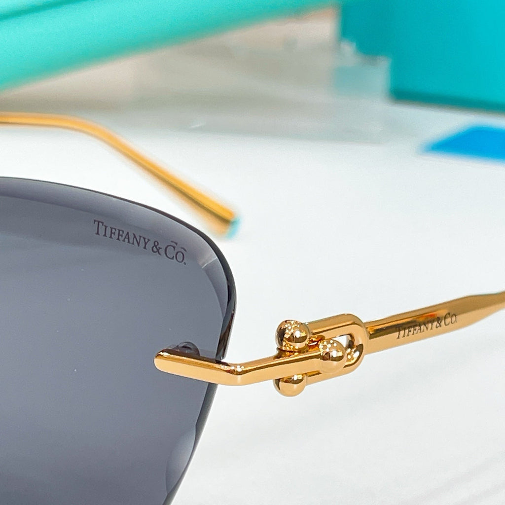 TIFFANY&Co. Sunglasses-TF3103SK